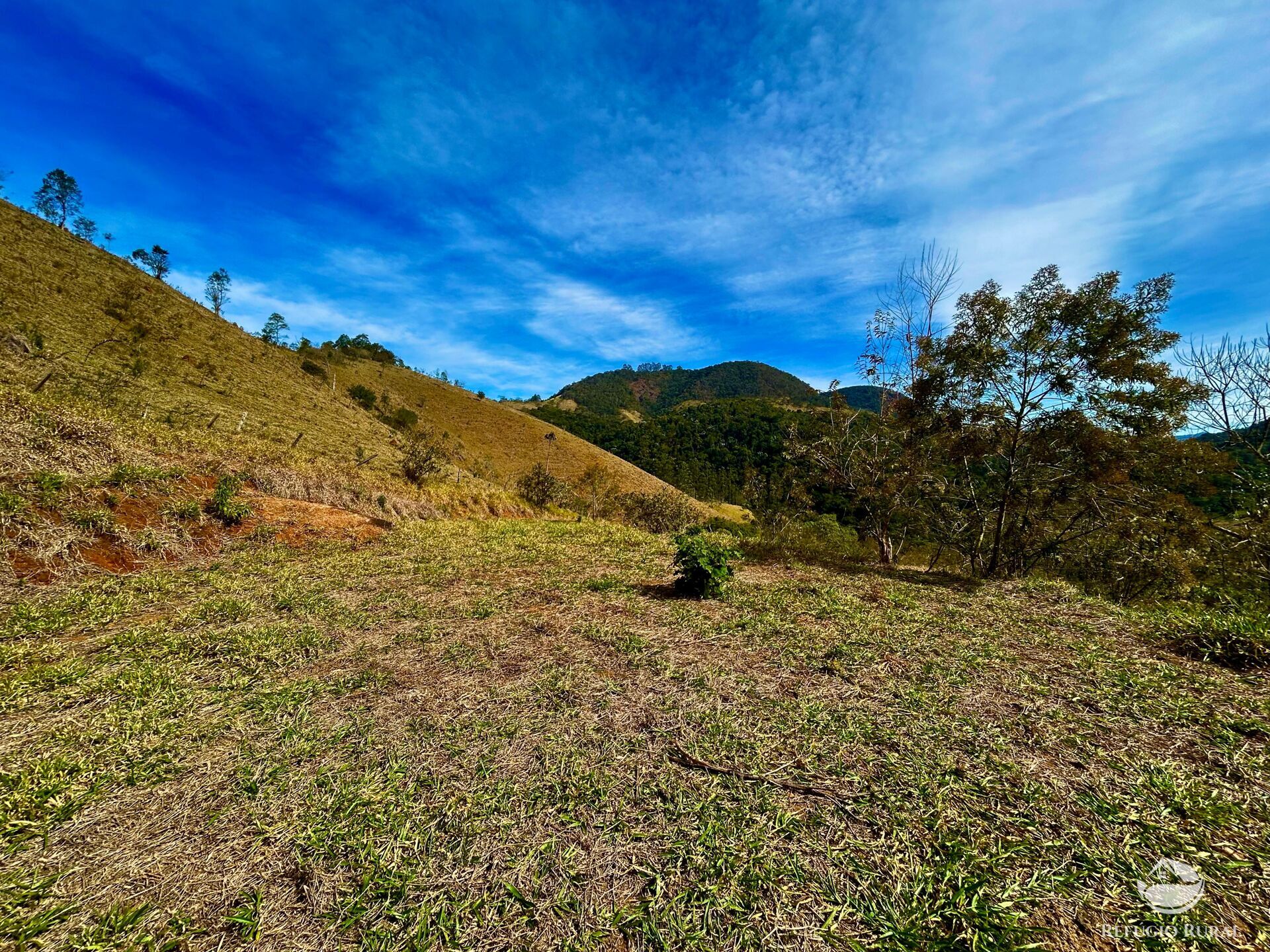 Terreno à venda, 20000m² - Foto 3