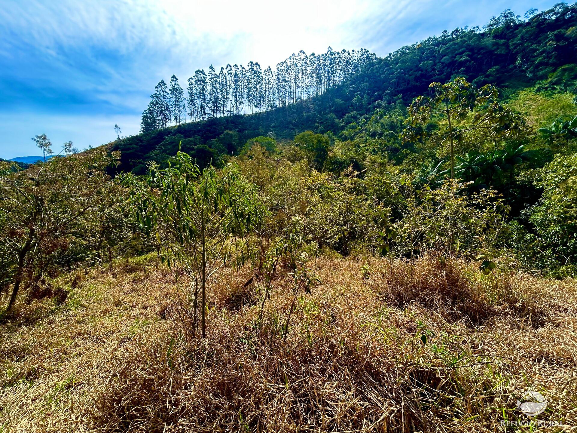 Terreno à venda, 20000m² - Foto 10
