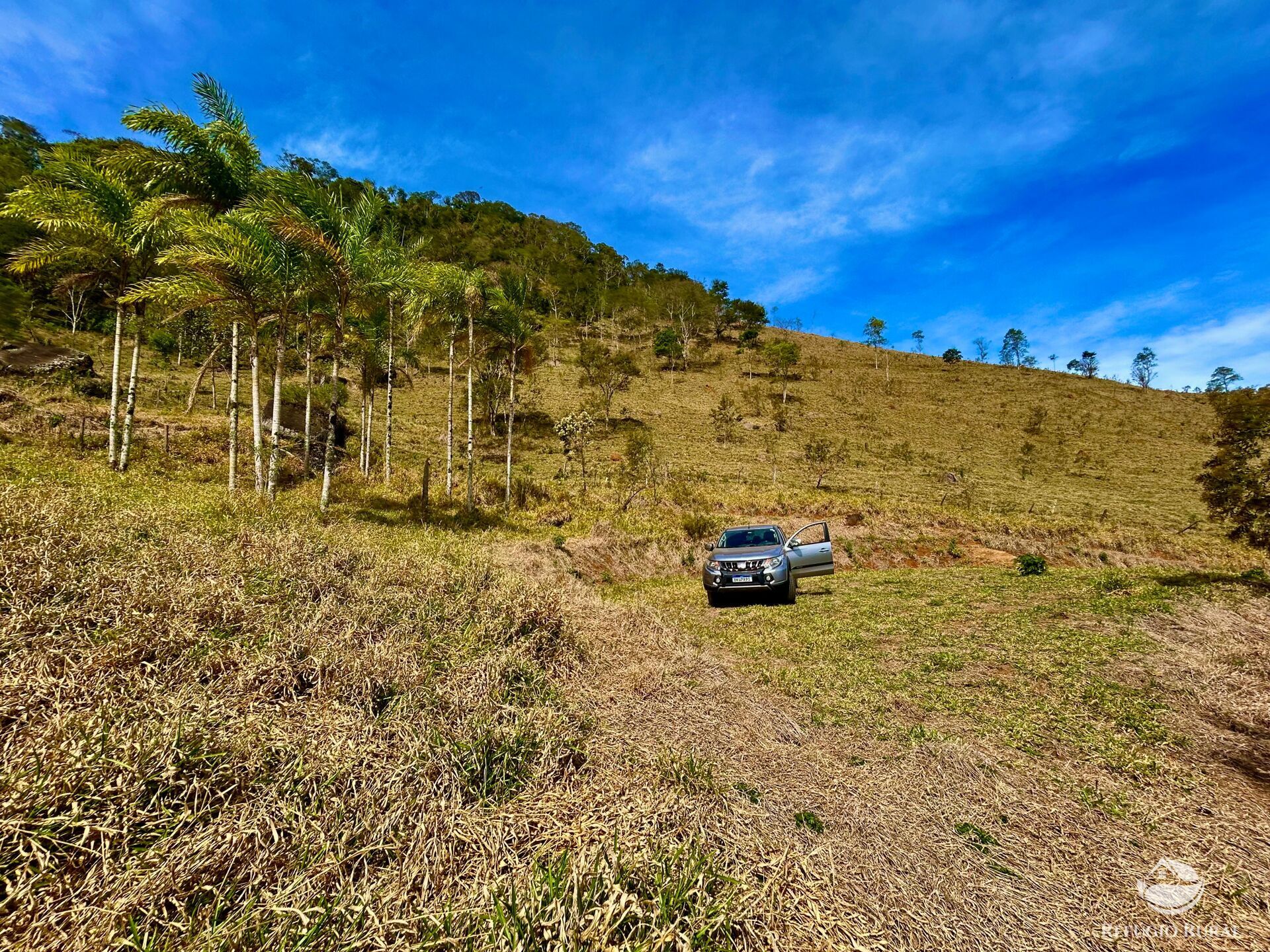 Terreno à venda, 20000m² - Foto 4
