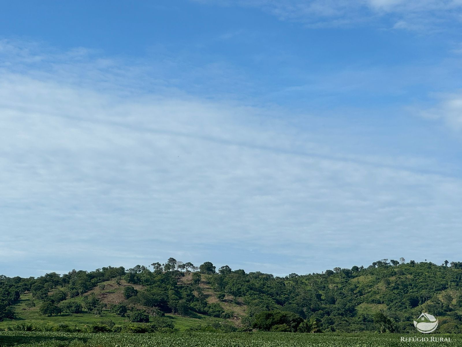 Fazenda à venda com 2 quartos, 6776000m² - Foto 6