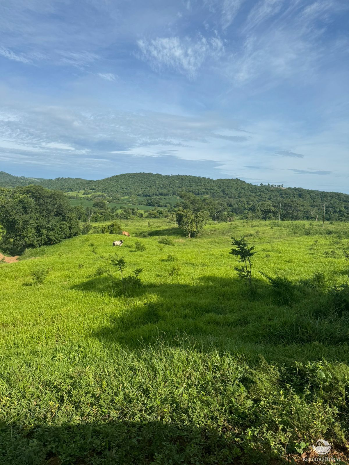 Fazenda à venda com 2 quartos, 6776000m² - Foto 3