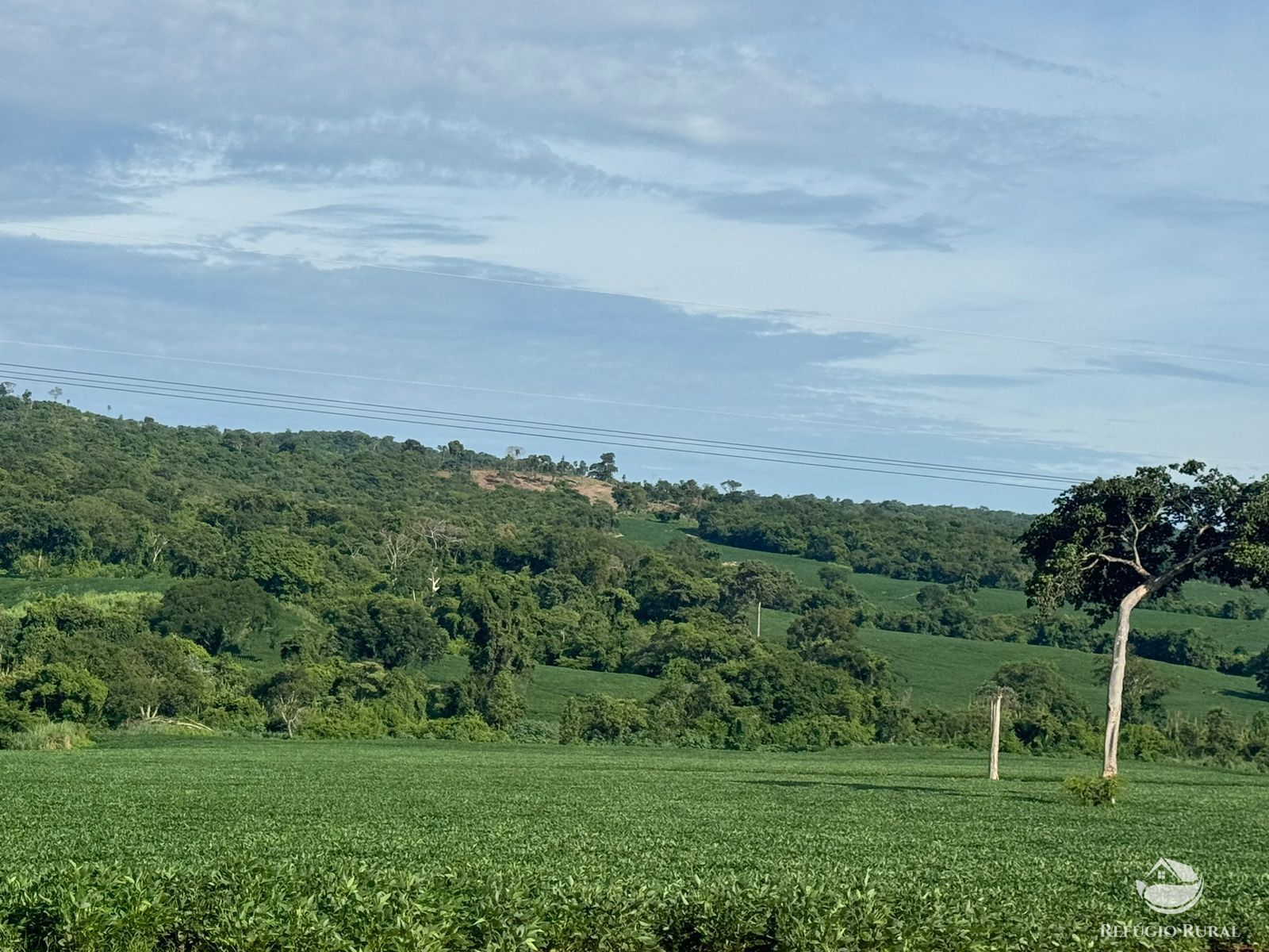 Fazenda à venda com 2 quartos, 6776000m² - Foto 1