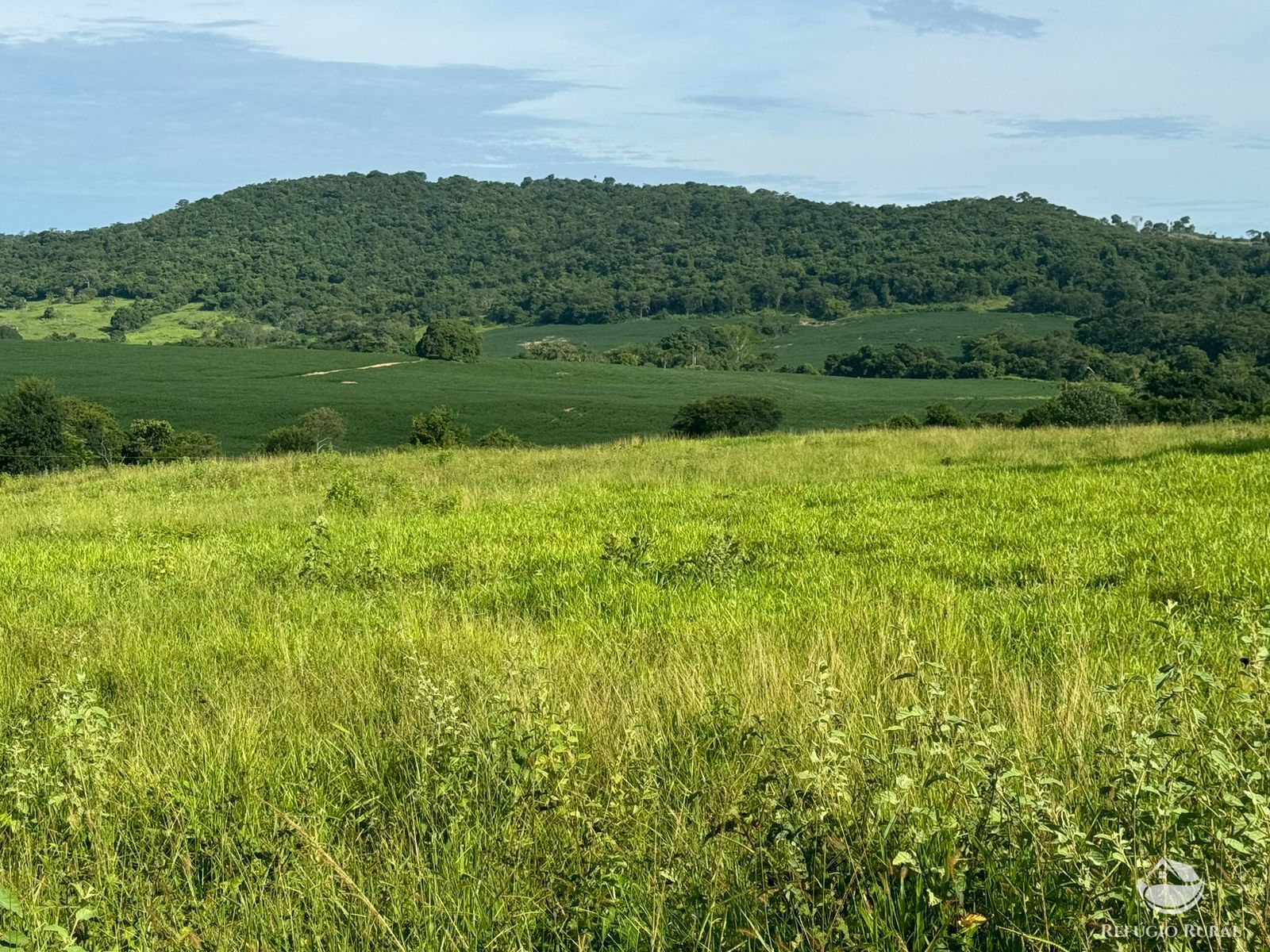 Fazenda à venda com 2 quartos, 6776000m² - Foto 2