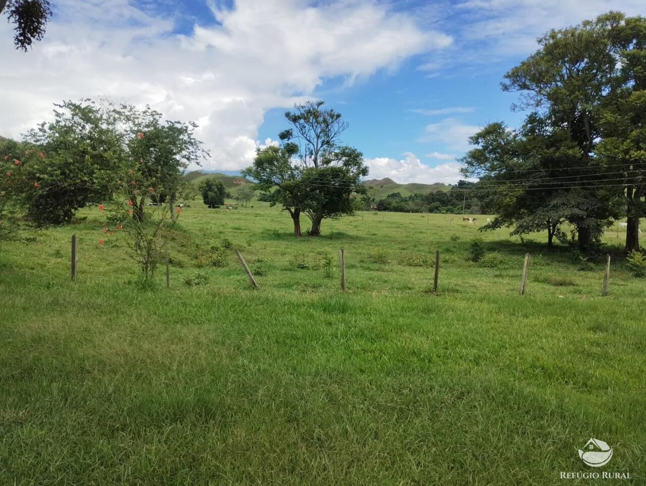 Fazenda, 605 hectares - Foto 15