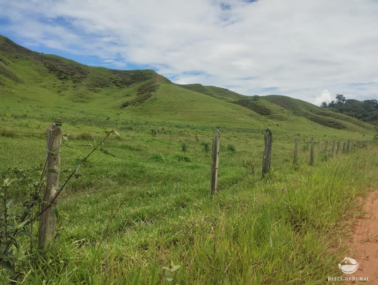 Fazenda, 605 hectares - Foto 12