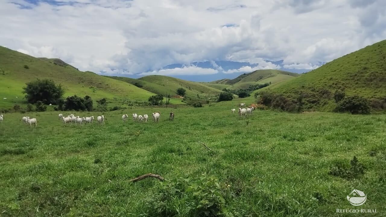 Fazenda, 605 hectares - Foto 8