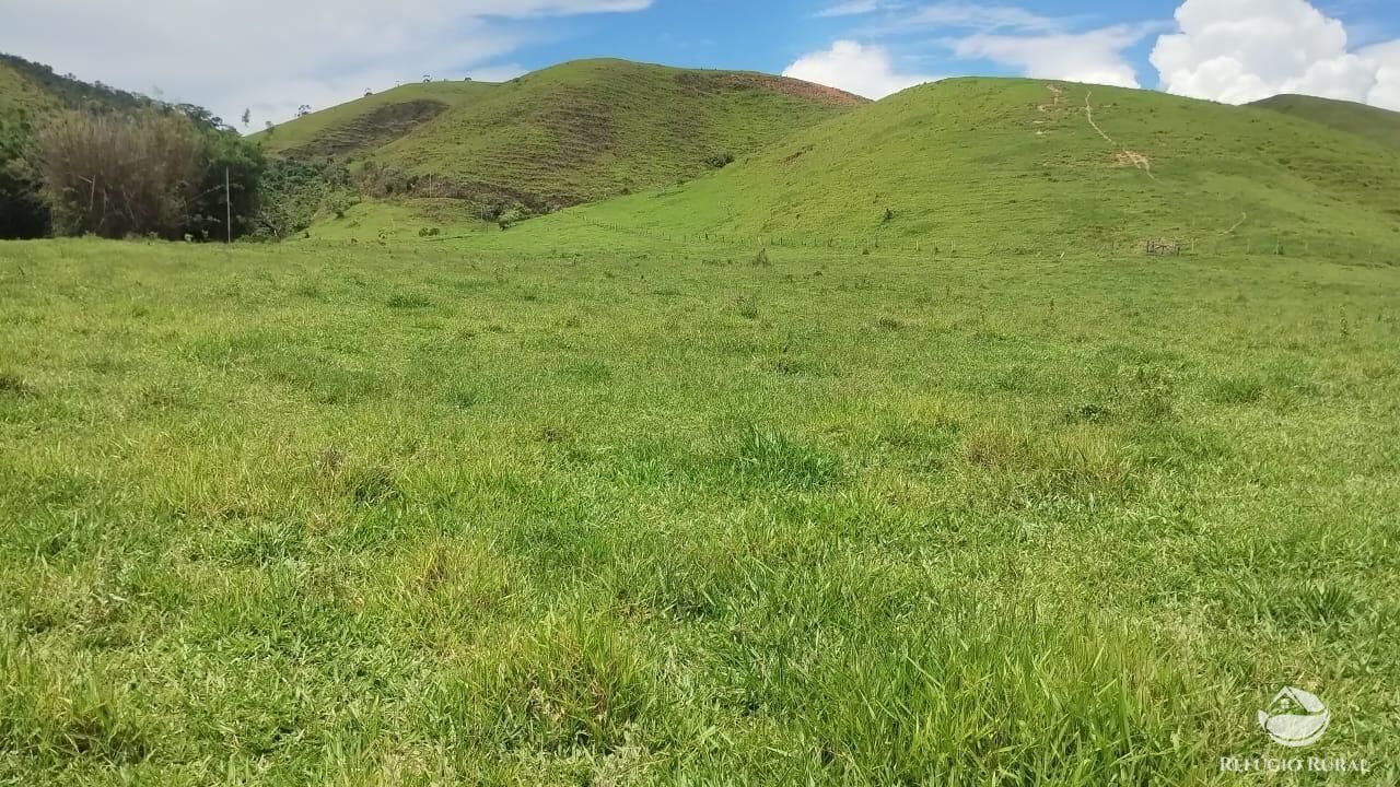 Fazenda, 605 hectares - Foto 22