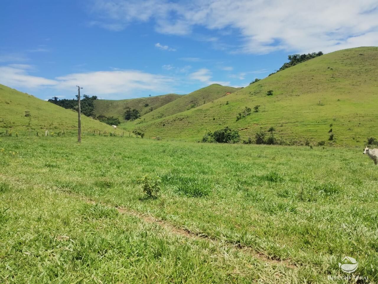 Fazenda, 605 hectares - Foto 10
