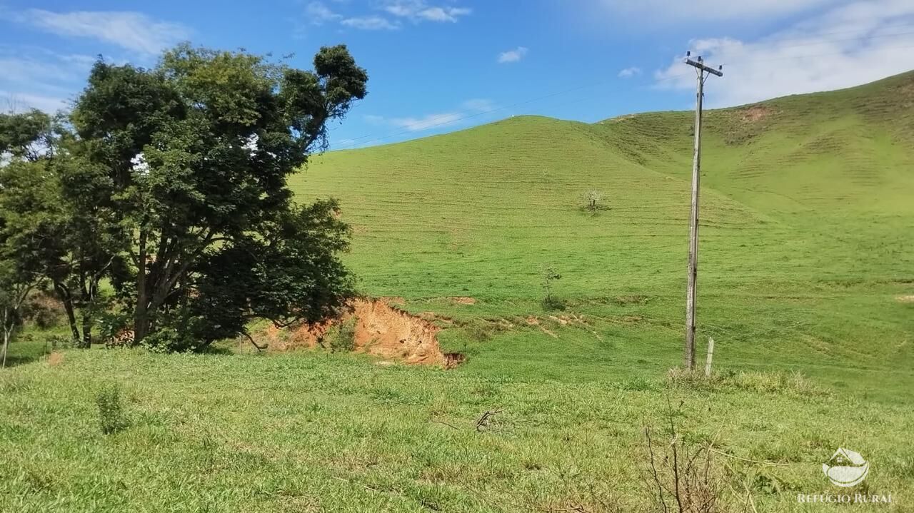 Fazenda, 605 hectares - Foto 19
