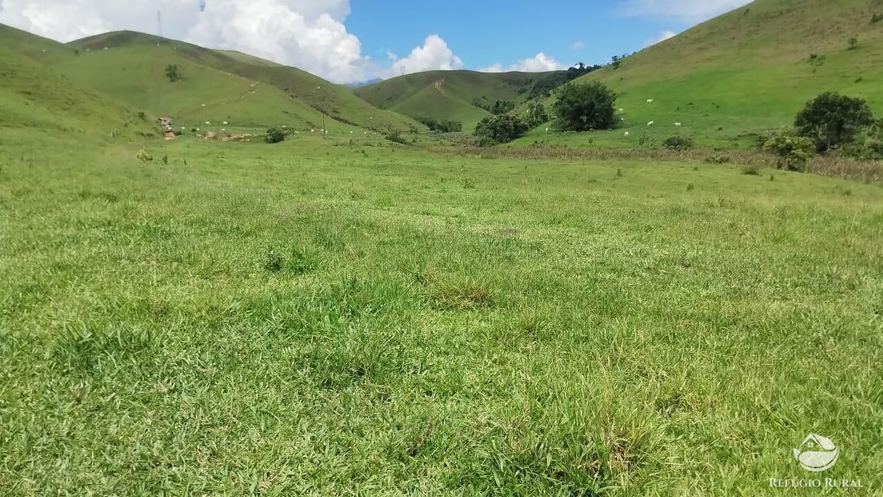 Fazenda, 605 hectares - Foto 21