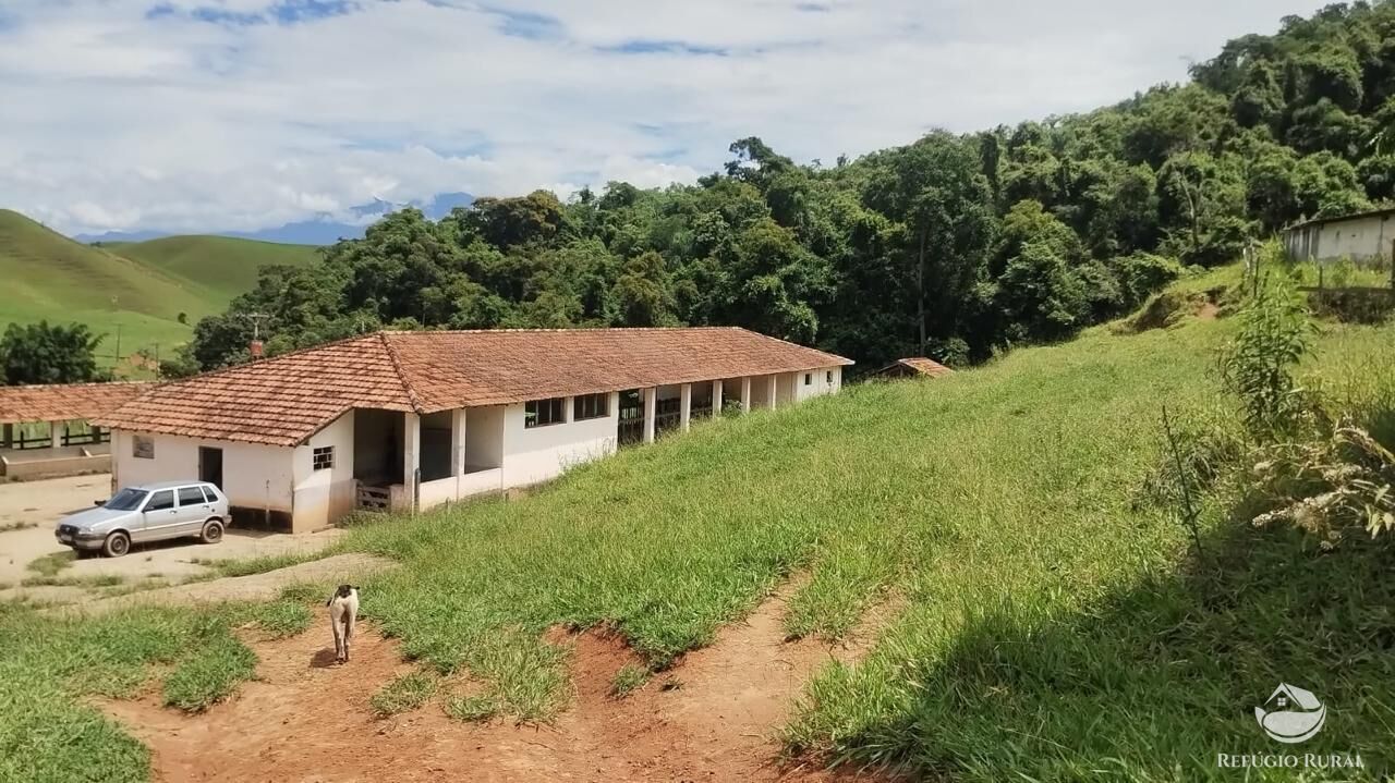 Fazenda, 605 hectares - Foto 20