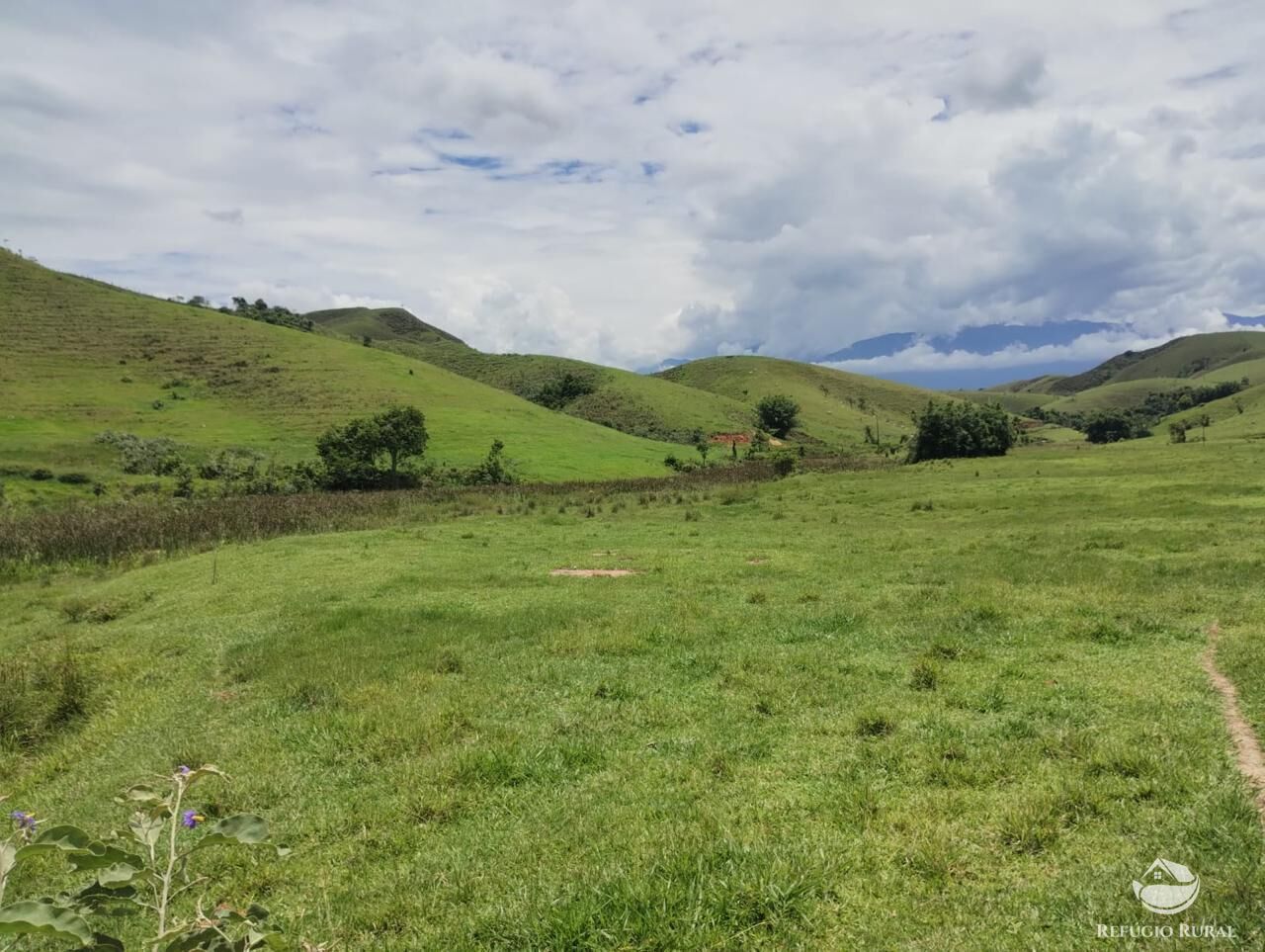 Fazenda, 605 hectares - Foto 11