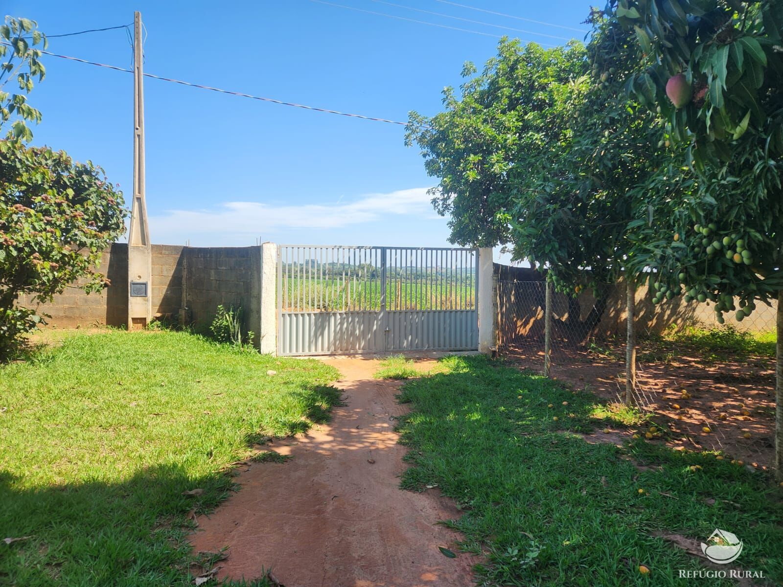 Fazenda à venda com 4 quartos, 24200m² - Foto 6