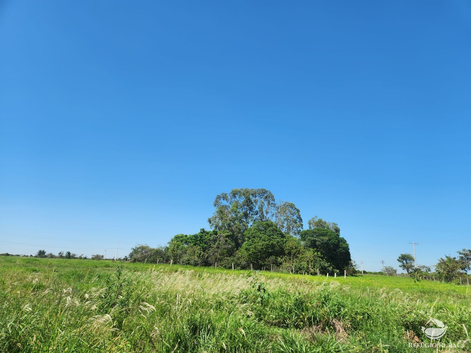 Fazenda à venda com 4 quartos, 24200m² - Foto 3