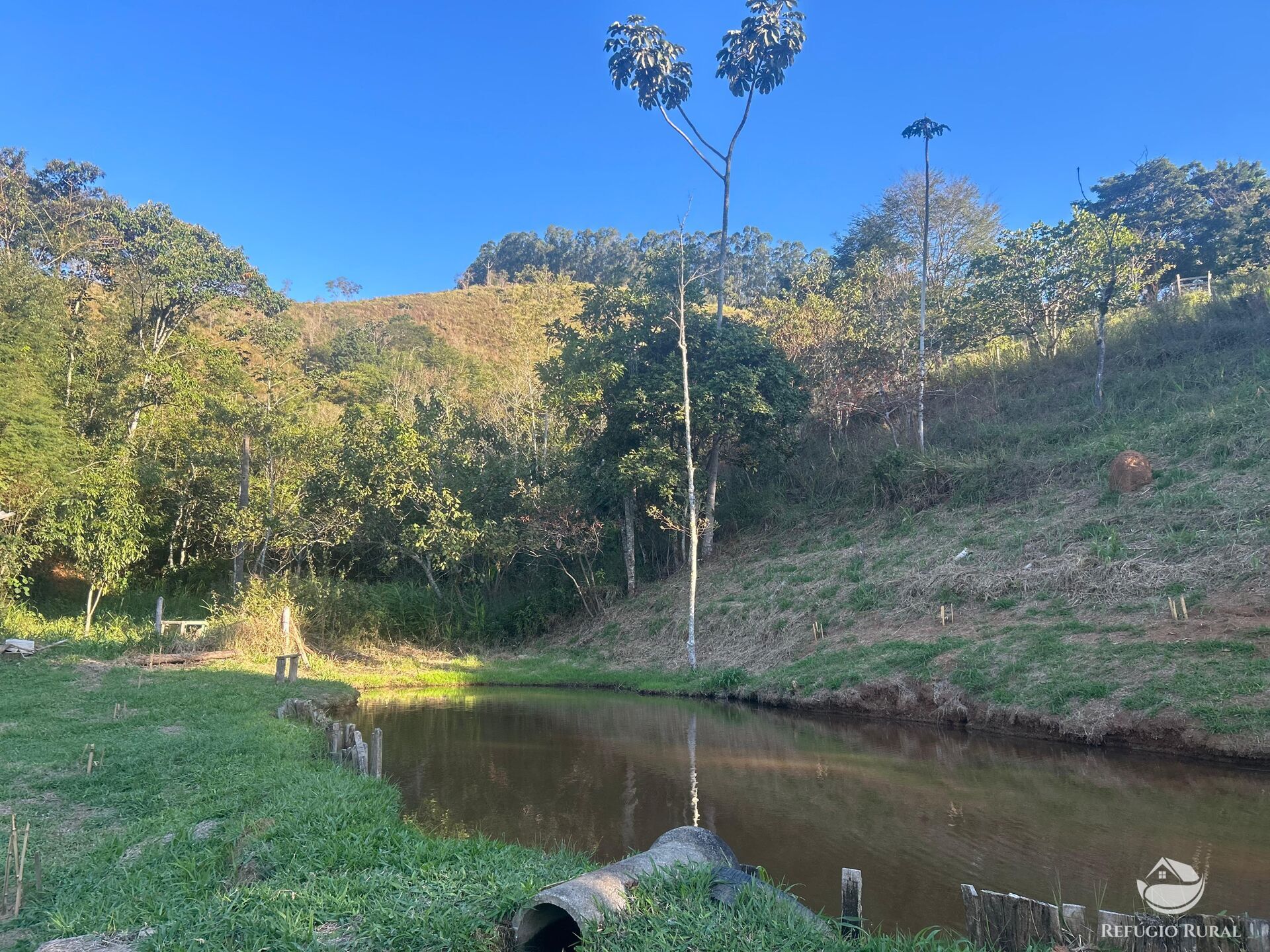 Sítio à venda com 2 quartos, 72600m² - Foto 5