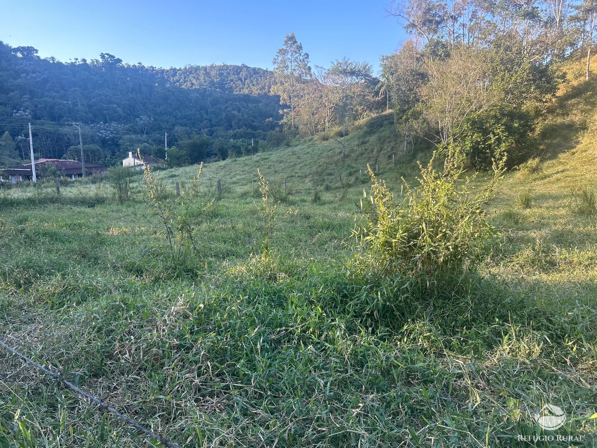 Sítio à venda com 2 quartos, 72600m² - Foto 29