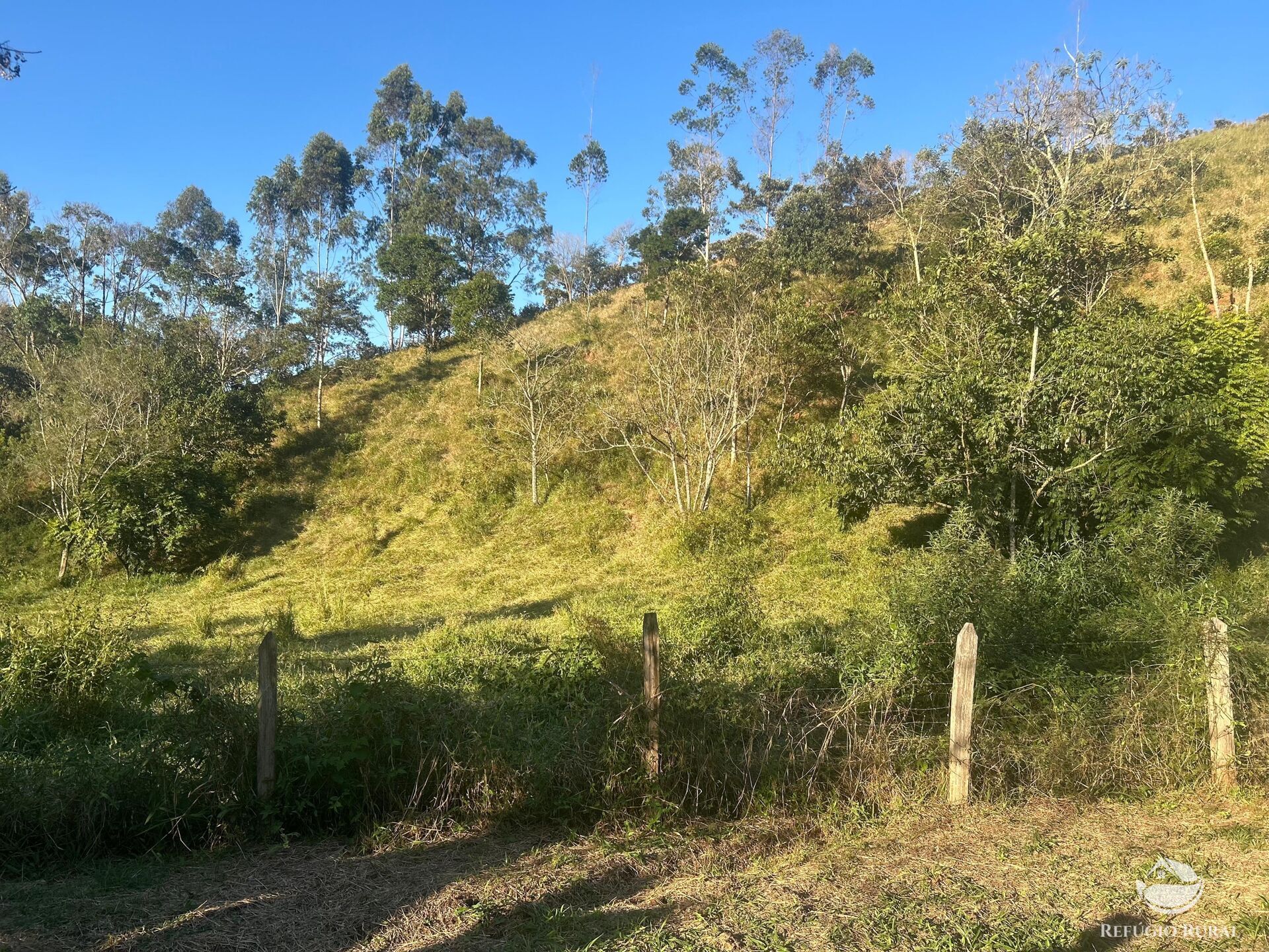 Sítio à venda com 2 quartos, 72600m² - Foto 31