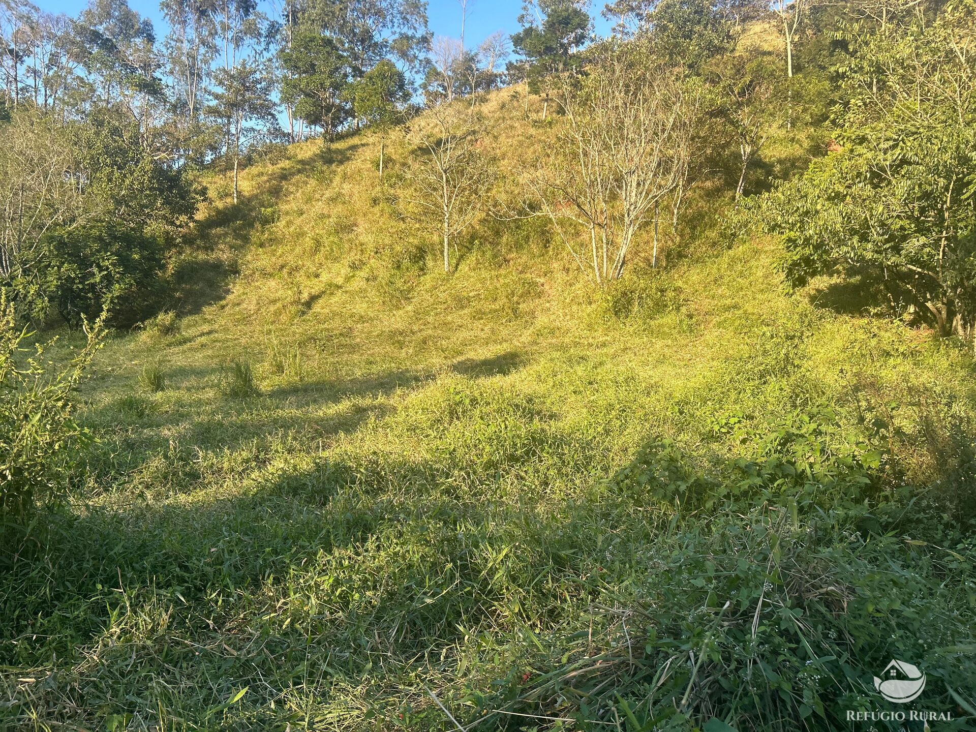 Sítio à venda com 2 quartos, 72600m² - Foto 28