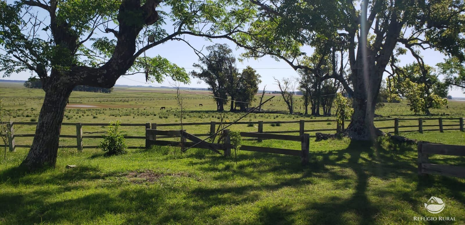 Fazenda à venda com 3 quartos, 91120000m² - Foto 32