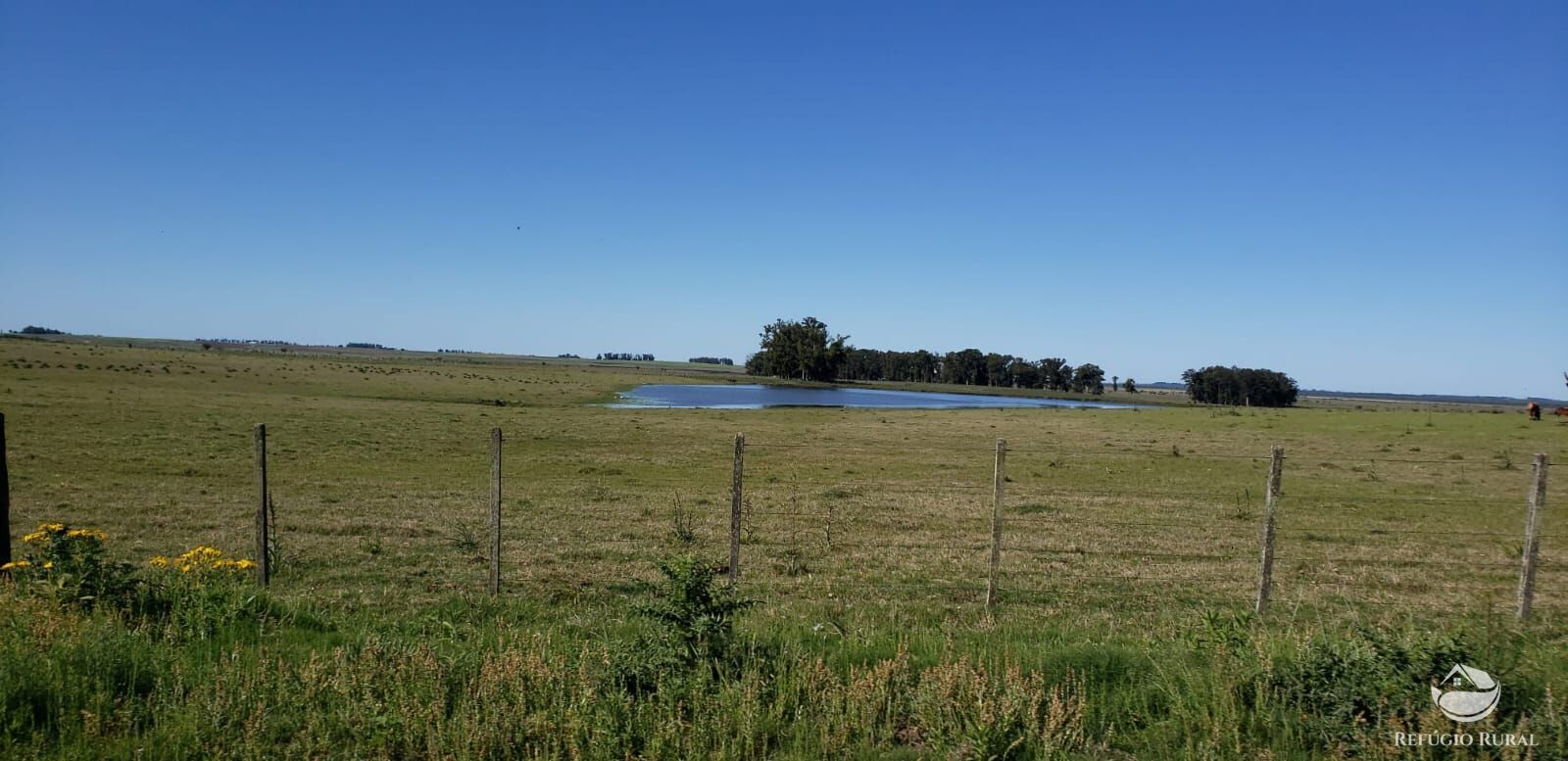 Fazenda à venda com 3 quartos, 91120000m² - Foto 33