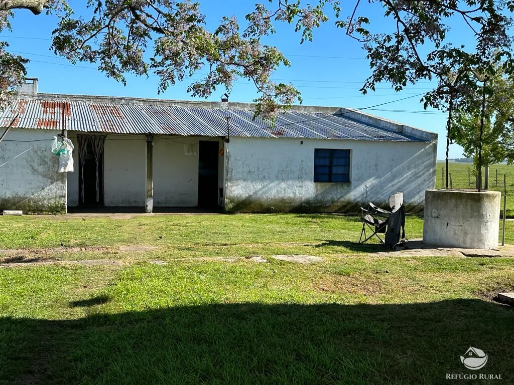 Fazenda à venda com 3 quartos, 91120000m² - Foto 45