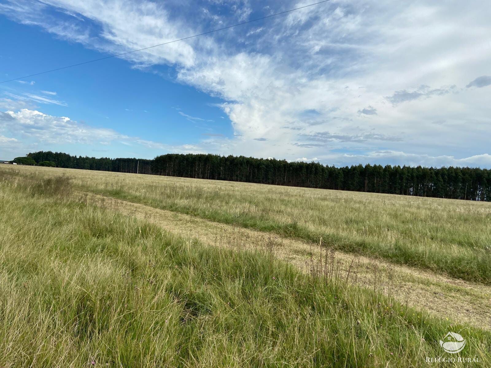 Fazenda à venda com 3 quartos, 91120000m² - Foto 17