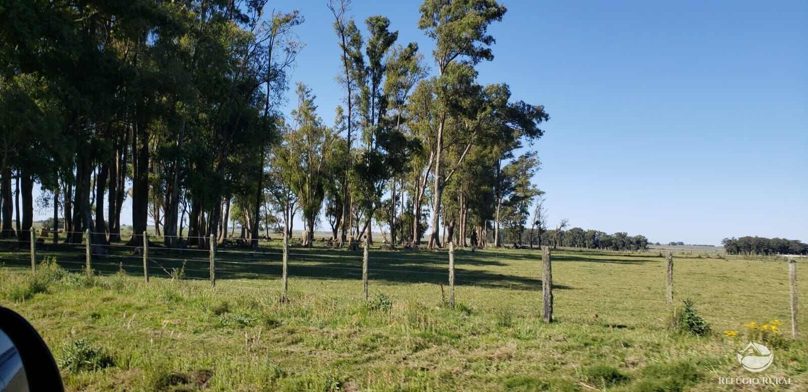 Fazenda à venda com 3 quartos, 91120000m² - Foto 24