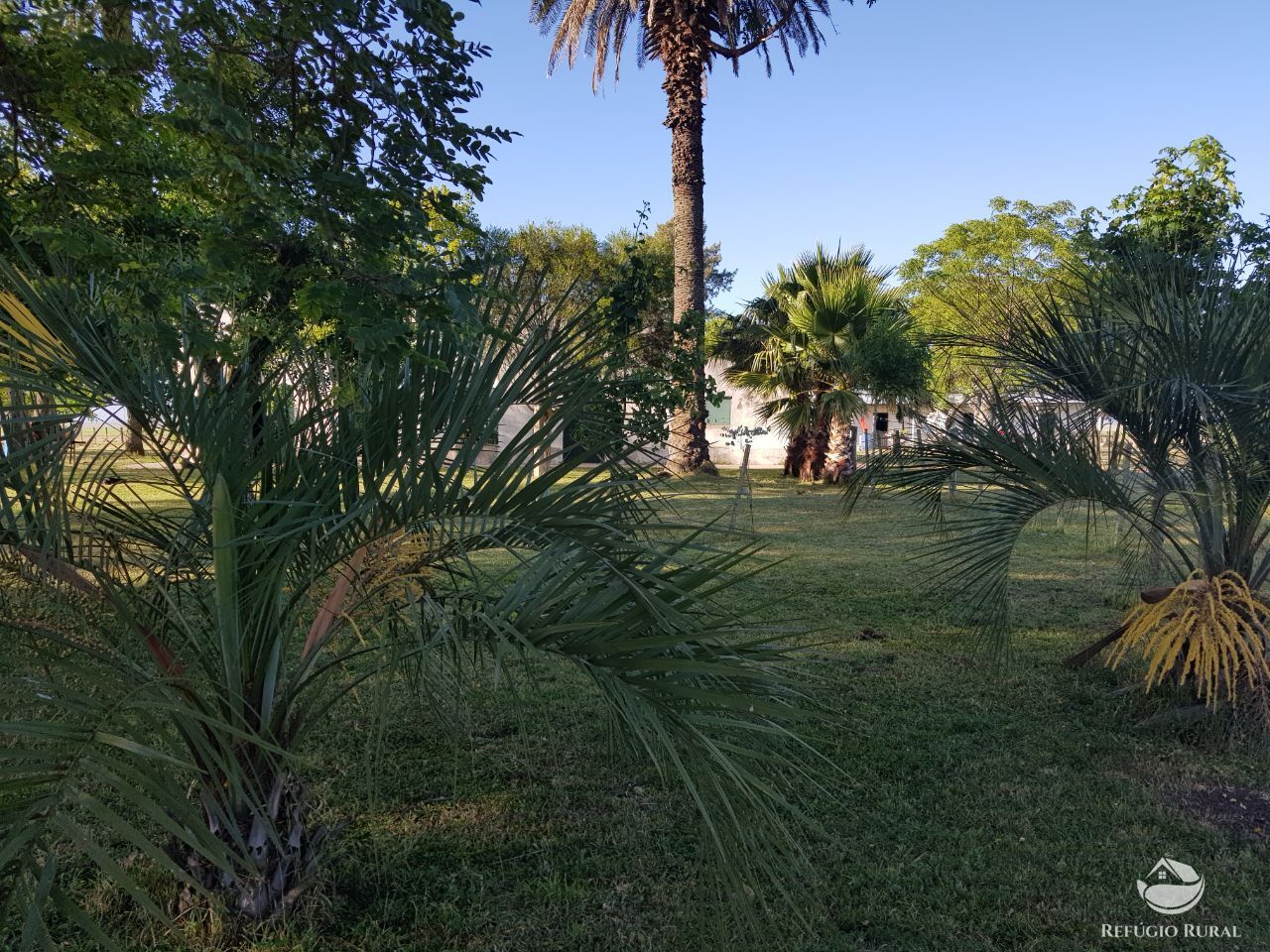 Fazenda à venda com 3 quartos, 91120000m² - Foto 8