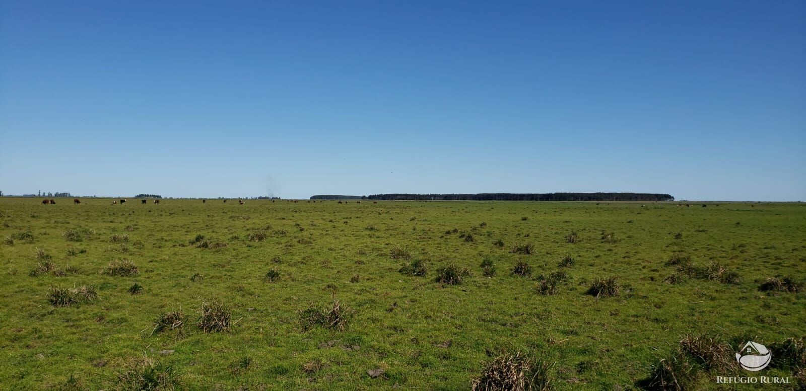 Fazenda à venda com 3 quartos, 91120000m² - Foto 26