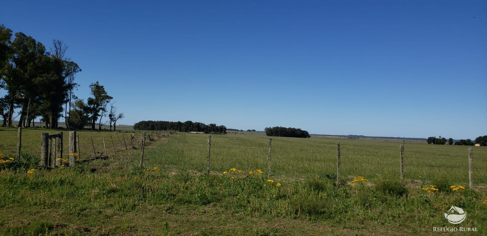 Fazenda à venda com 3 quartos, 91120000m² - Foto 22