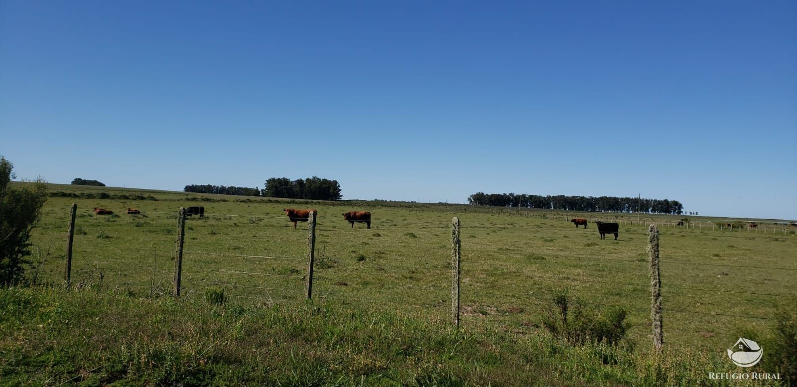 Fazenda à venda com 3 quartos, 91120000m² - Foto 21