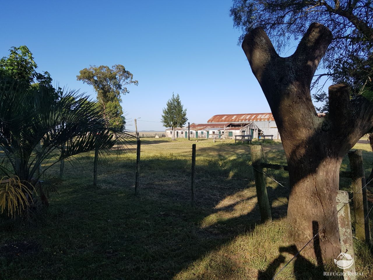 Fazenda à venda com 3 quartos, 91120000m² - Foto 6