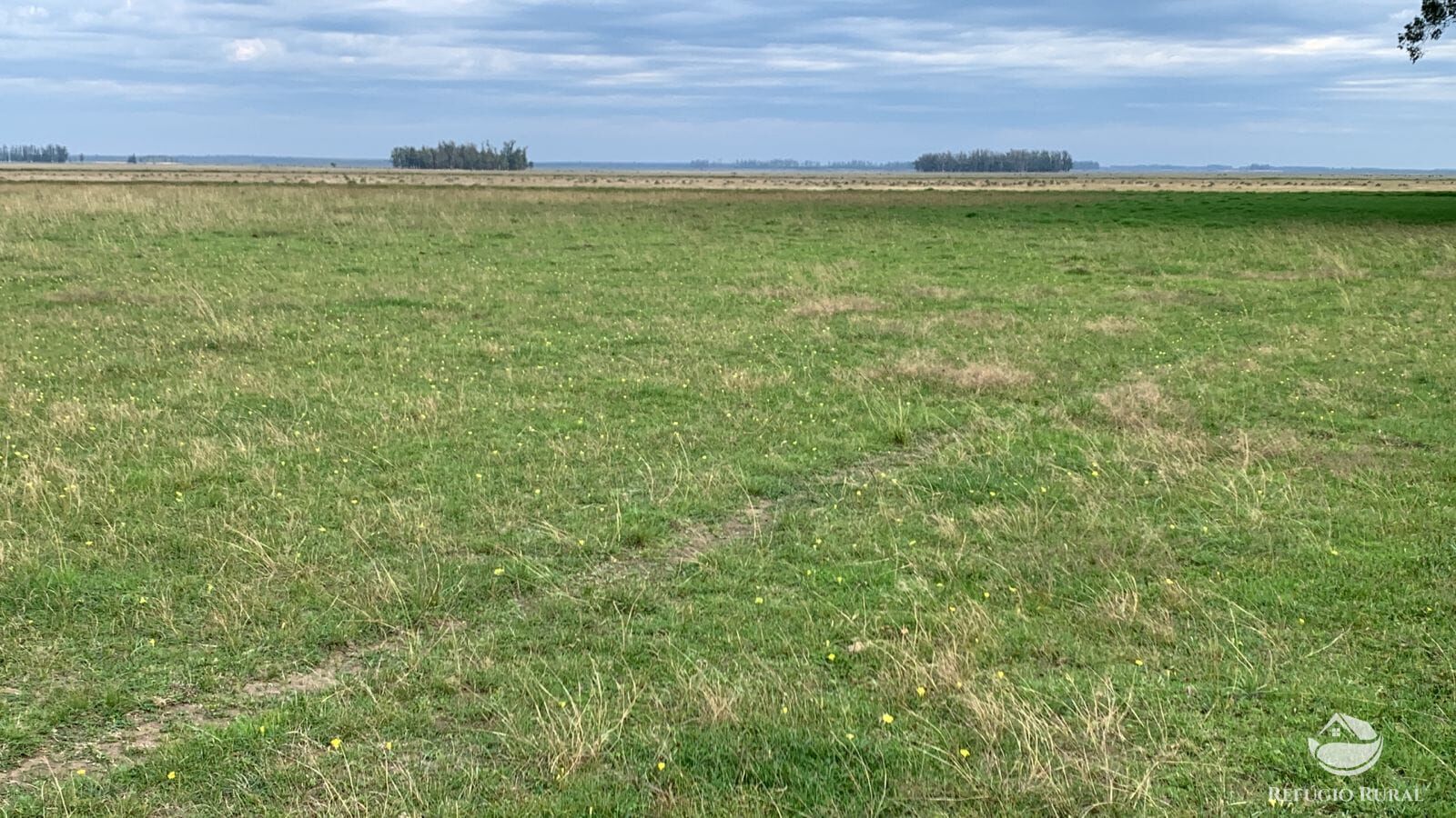 Fazenda à venda com 3 quartos, 91120000m² - Foto 48