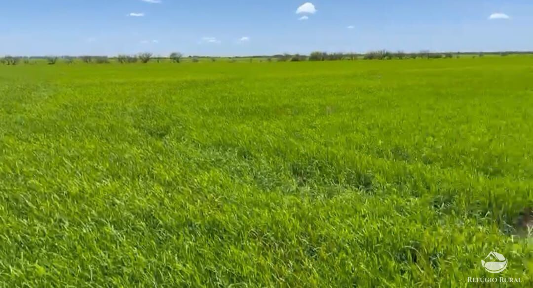 Fazenda à venda com 3 quartos, 91120000m² - Foto 31