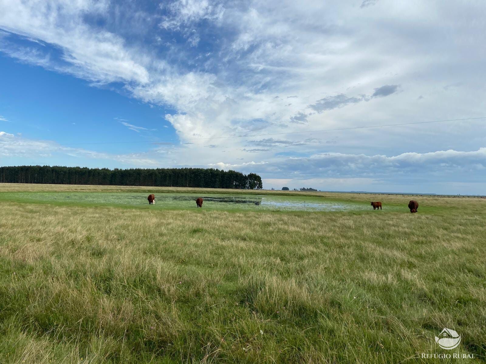 Fazenda à venda com 3 quartos, 91120000m² - Foto 1