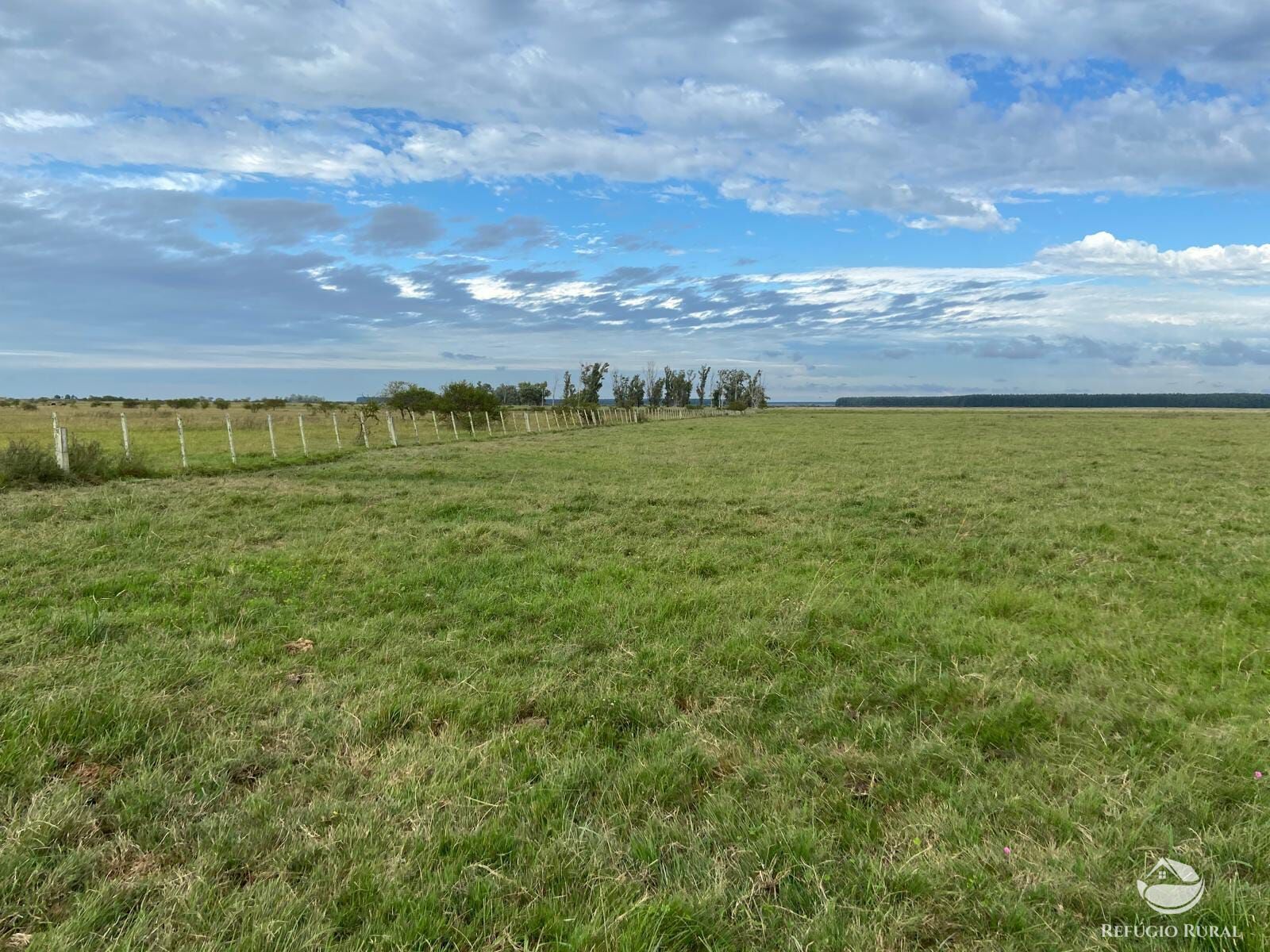 Fazenda à venda com 3 quartos, 91120000m² - Foto 36