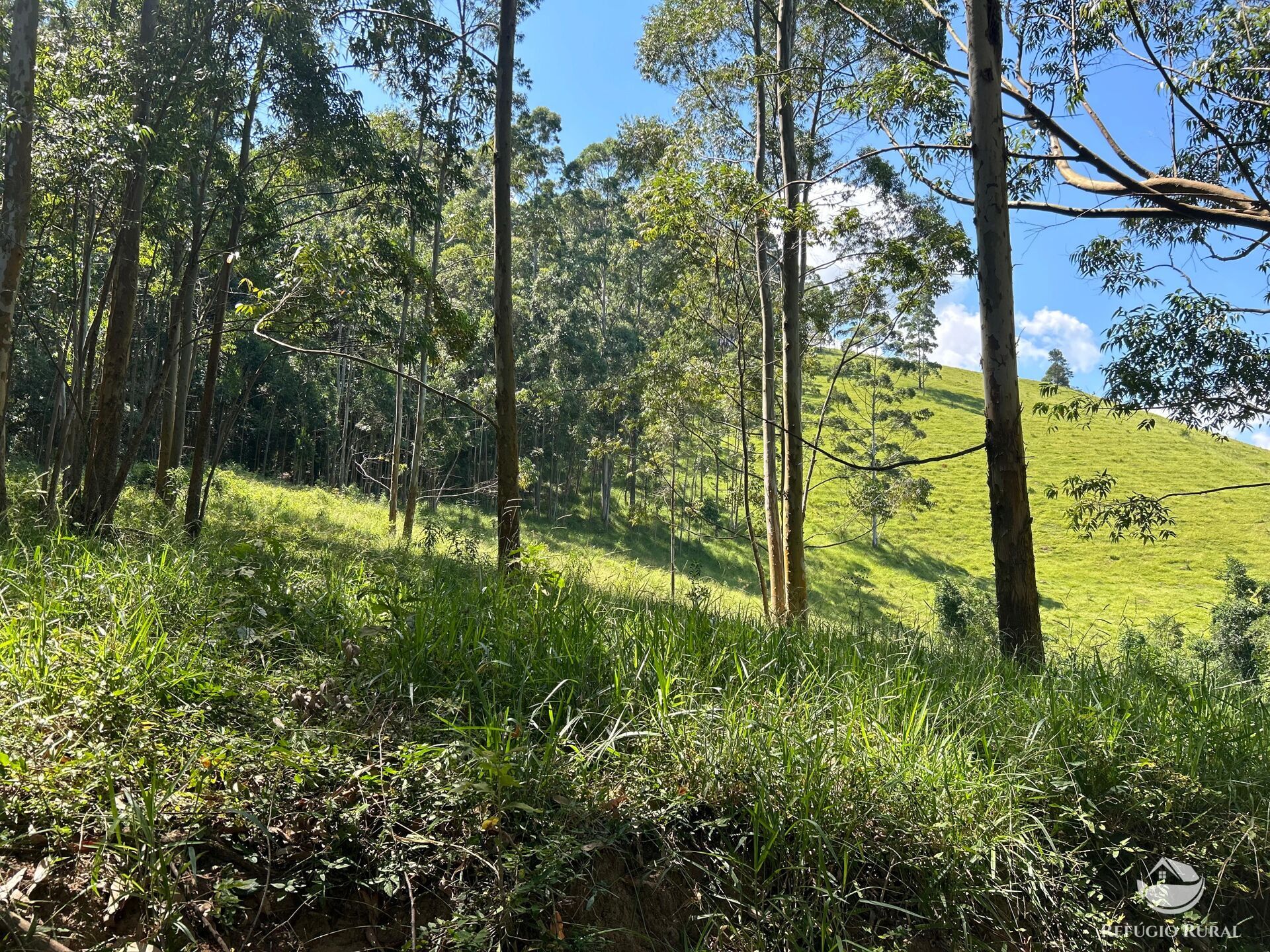 Terreno à venda, 360000m² - Foto 9