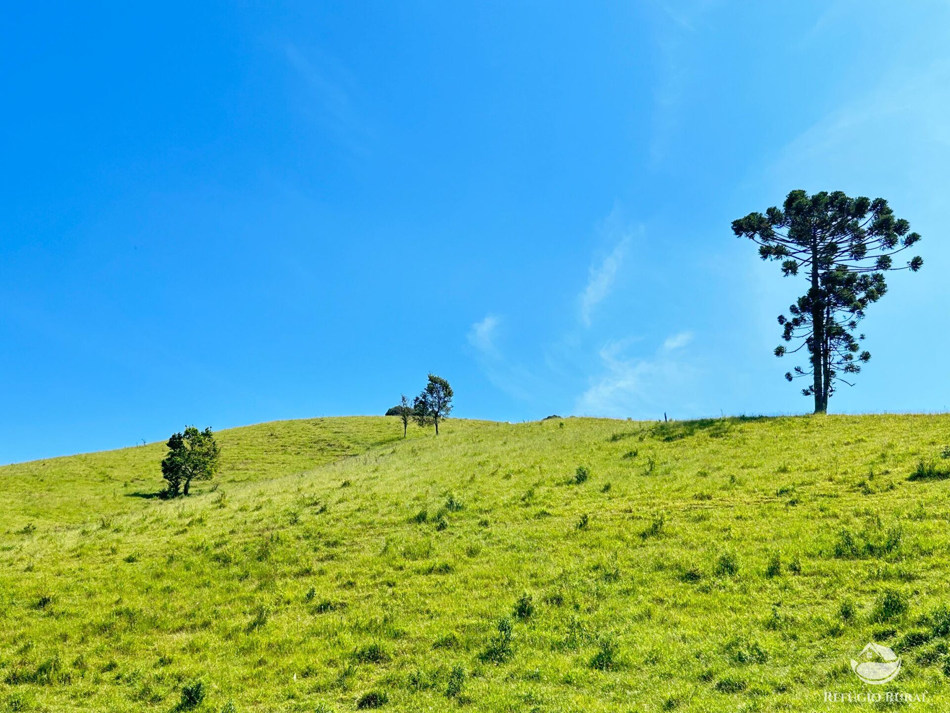 Terreno à venda, 360000m² - Foto 26