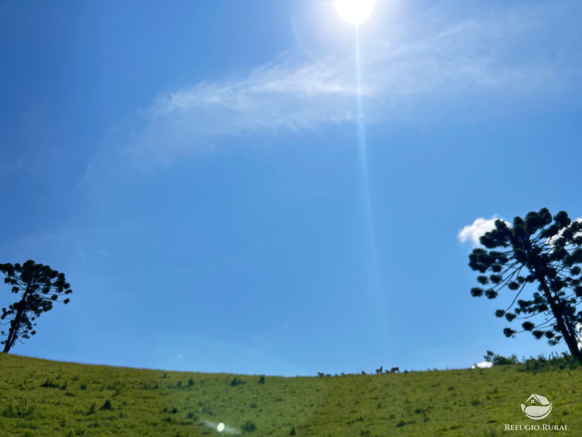 Terreno à venda, 360000m² - Foto 19