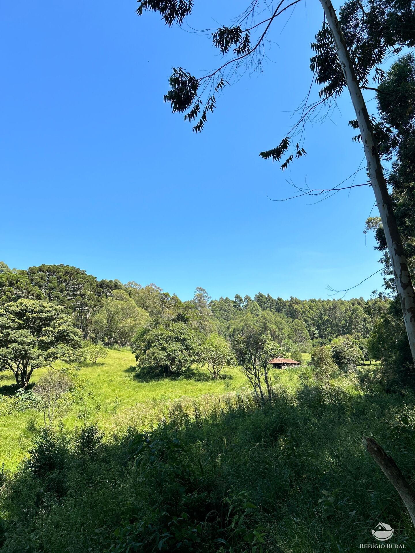 Terreno à venda, 360000m² - Foto 16