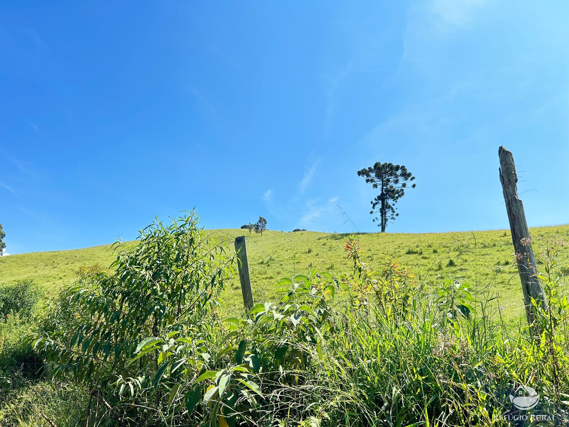Terreno à venda, 360000m² - Foto 20