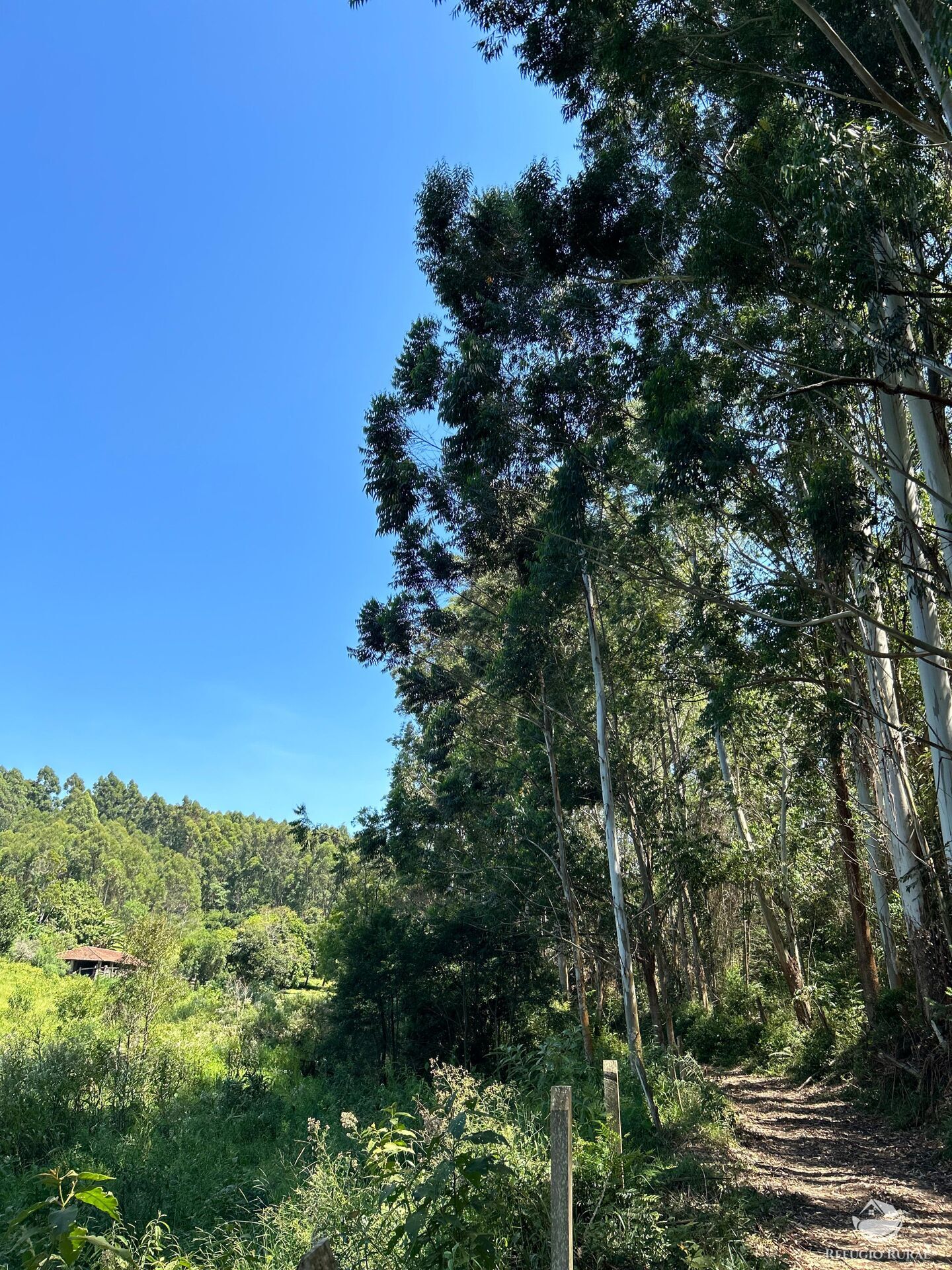 Terreno à venda, 360000m² - Foto 12