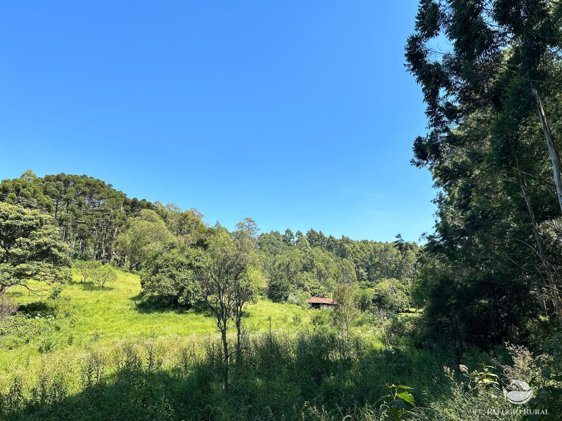 Terreno à venda, 360000m² - Foto 25
