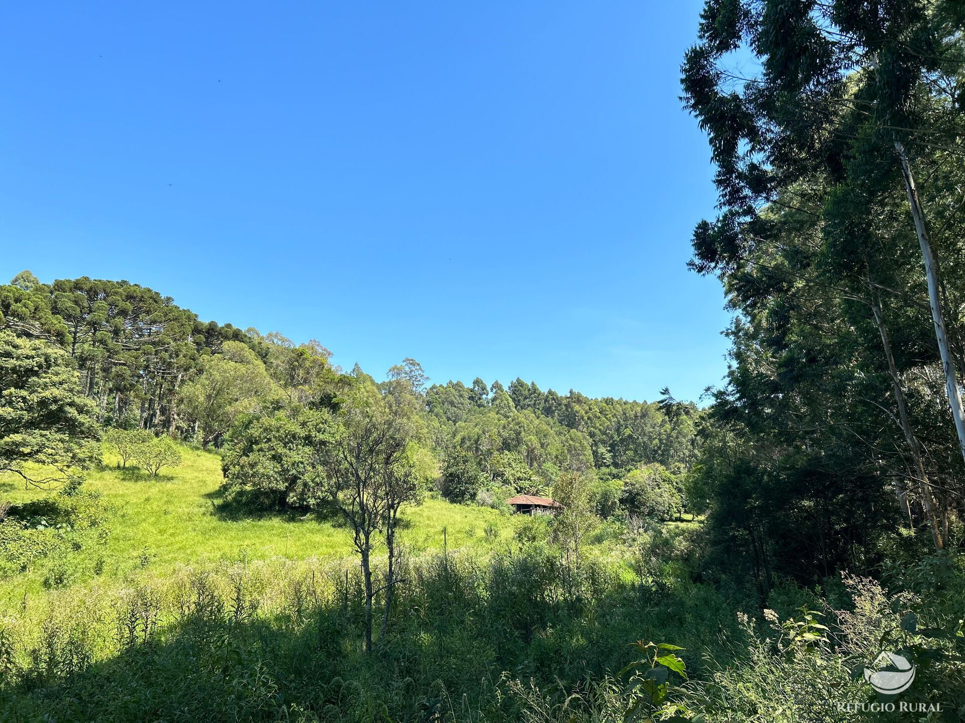 Terreno à venda, 360000m² - Foto 14