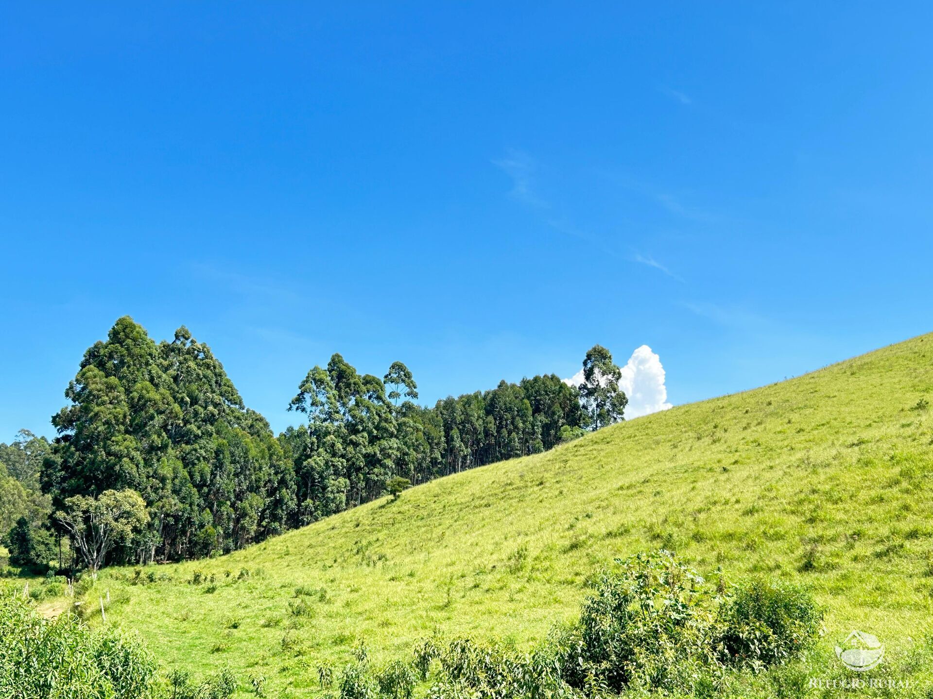 Terreno à venda, 360000m² - Foto 18