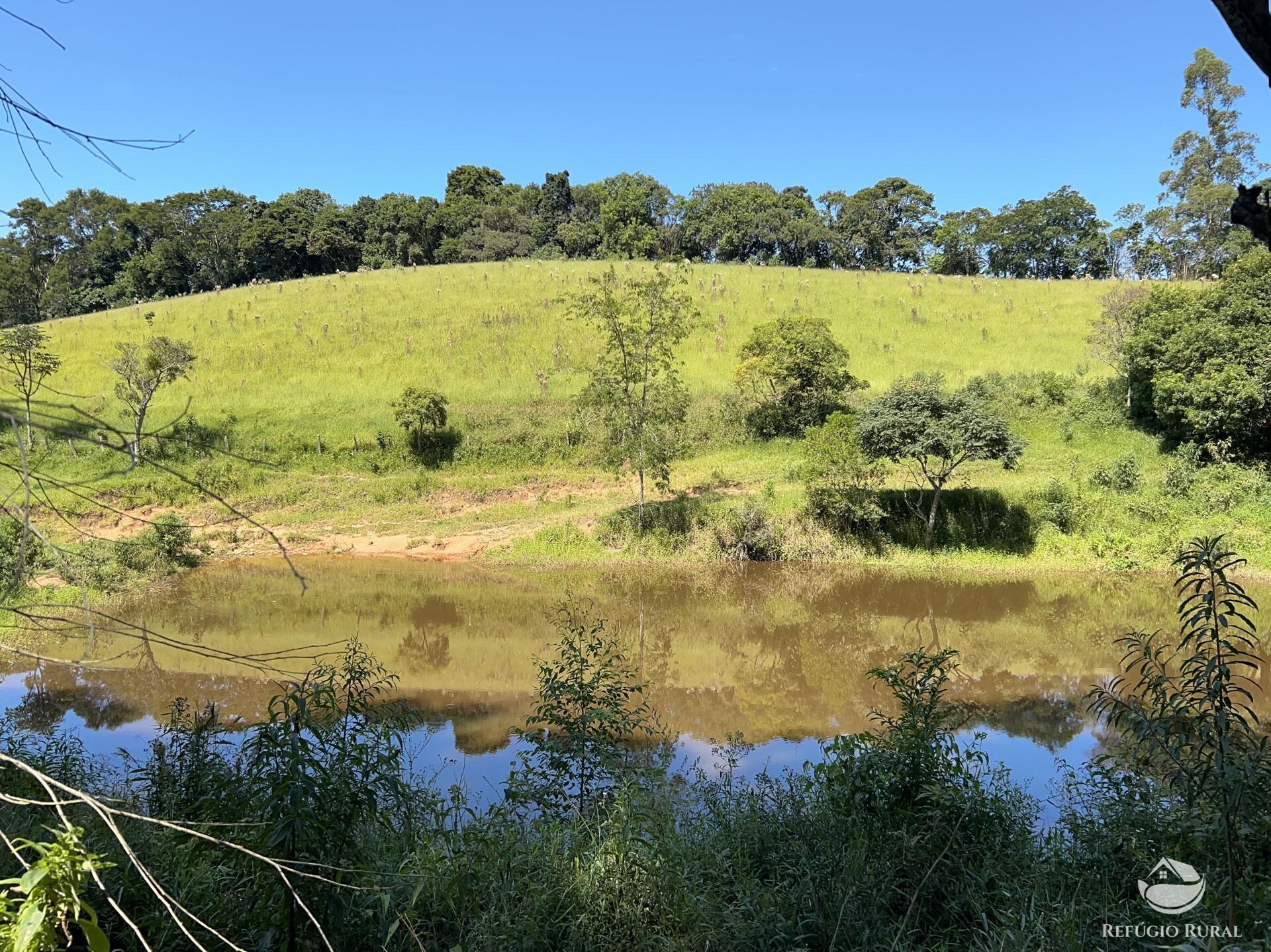 Terreno à venda, 360000m² - Foto 17