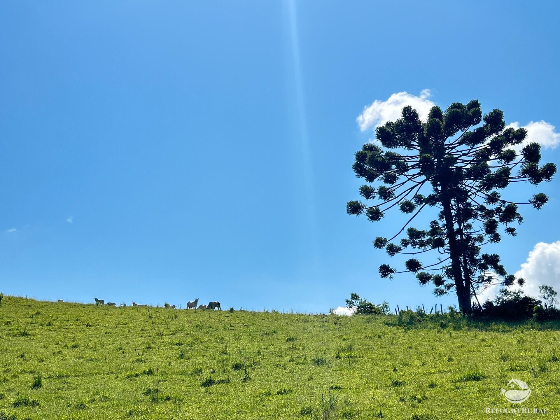 Terreno à venda, 360000m² - Foto 27