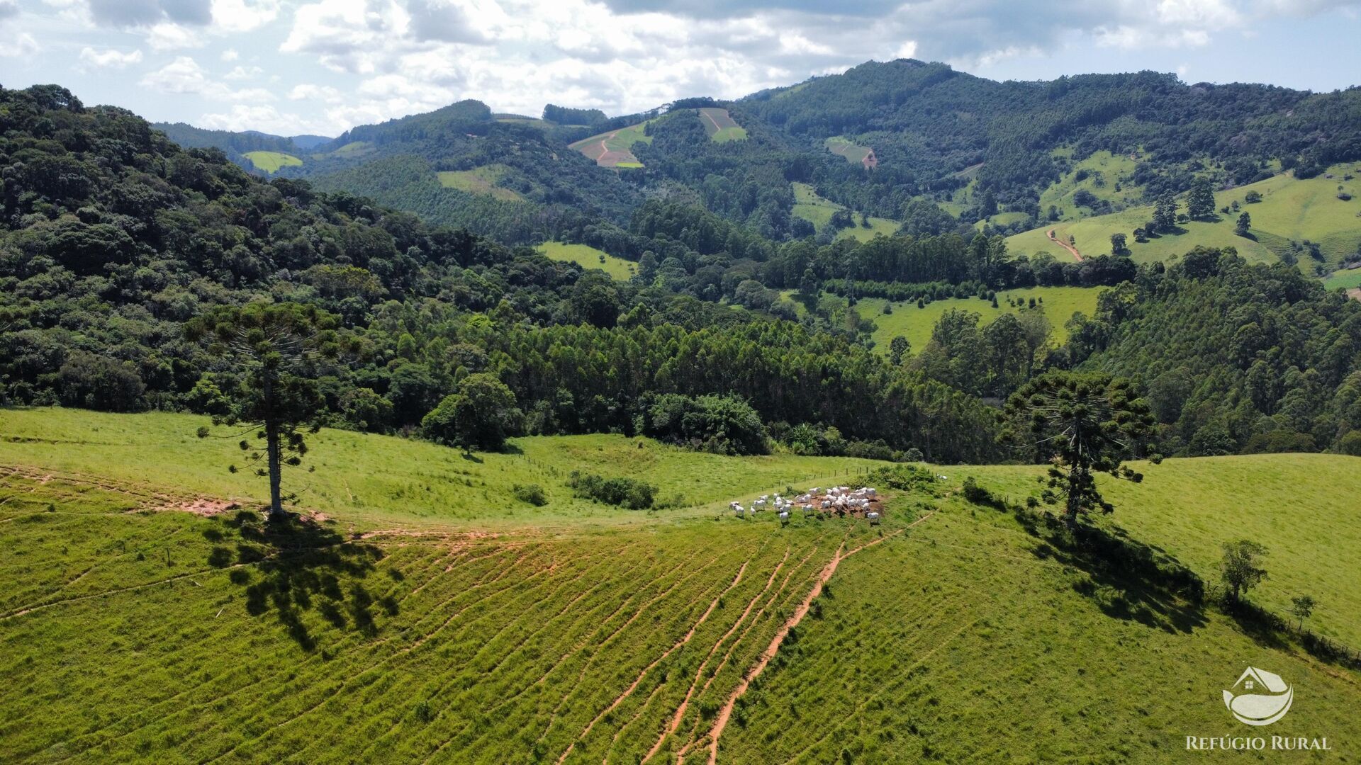 Terreno à venda, 360000m² - Foto 7