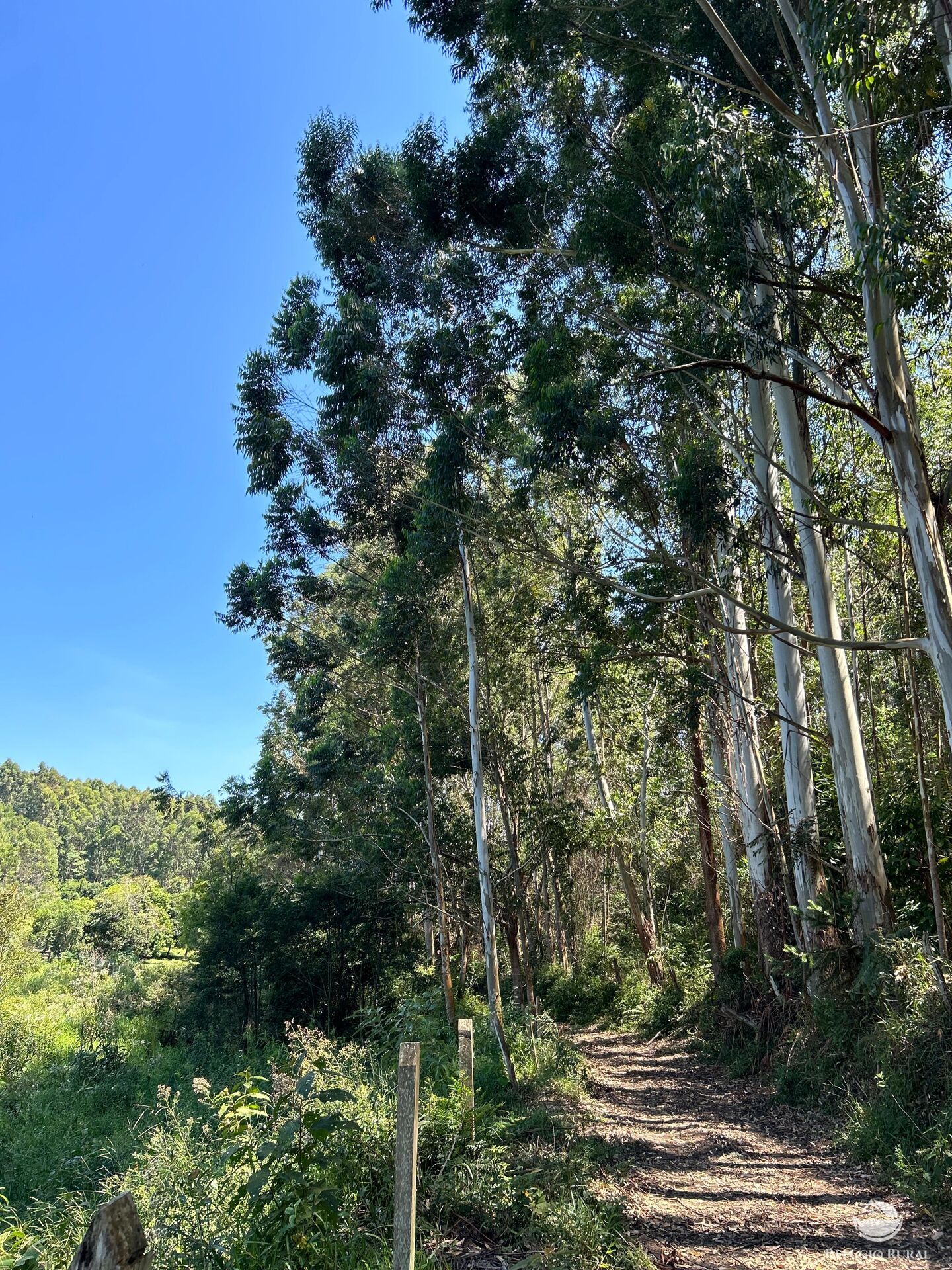 Terreno à venda, 360000m² - Foto 13