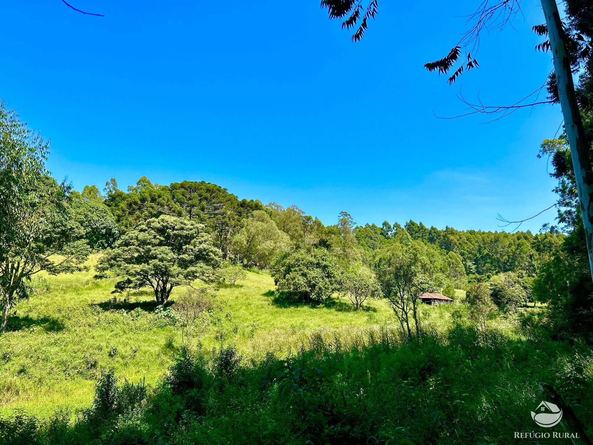 Terreno à venda, 360000m² - Foto 1